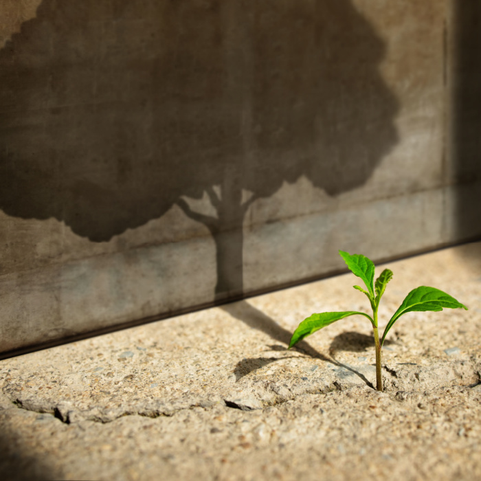 immagine rappresentativa del corso